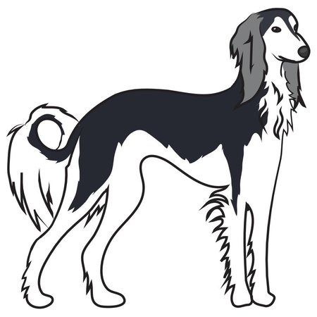 SIGNMISSION Saluki Dog Decal, Dog Lover Decor Vinyl Sticker D-12-Saluki